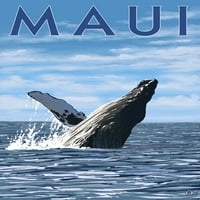 Мауи, Хавай, гърбав кит